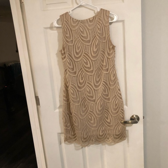 Tan Lace Dress with Lining - Picture 3 of 3